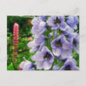 Blauw Delphinium Briefkaart (Voorkant)