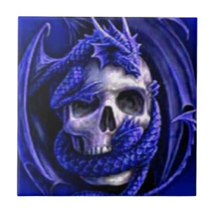 blauw-drakenmeeuw tegeltje