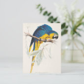 Blauw en geel Macaw Briefkaart (Staand voorkant)