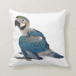 Blauw en geel Macaw Kussen