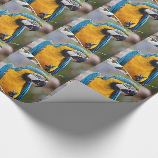 Blauw en geel Macaw-omslagpapier Cadeaupapier (Hoek)