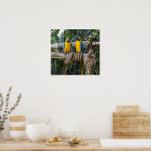 Blauw en geel Macaw Poster (Keuken)