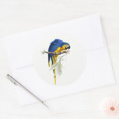 Blauw en geel Macaw  Ronde Sticker (Envelop)
