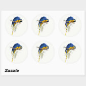 Blauw en geel Macaw  Ronde Sticker (Vel)
