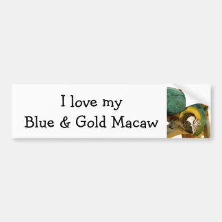 Blauw en Goud Ara Bumpersticker