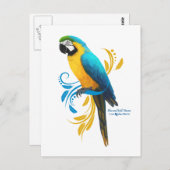 Blauw en Goud Macaw Briefkaart (Voorkant / Achterkant)