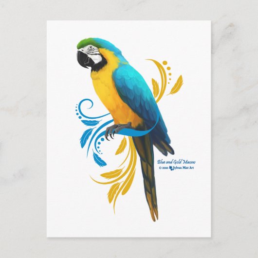 Blauw en Goud Macaw Briefkaart (Voorkant)