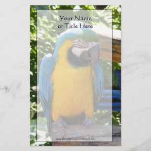 Blauw en Goud Macaw Stationery Briefpapier