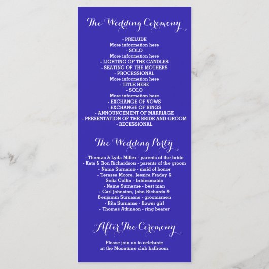 Blauw en Goud String Lights Programma (Achterkant)