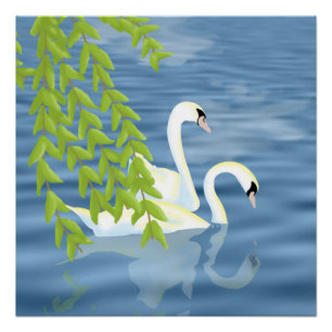 Blauw en groen paar zwanen op het meer perfect poster