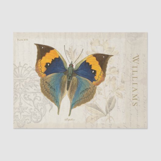 blauw en Oranje papier voor de botervlieg (Voorkant)