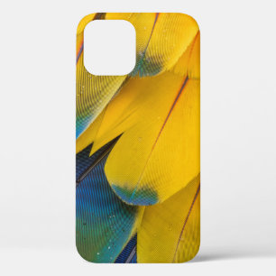 BLAUW EN RODE VOGELS VAN PARADISE iPhone 12 HOESJE