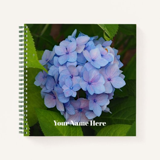  Blauw en Roze Hydrangea Floral Foto Notitieboek (Voorkant)
