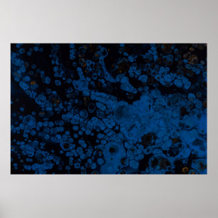 Blauw en wit abstract schilderij poster