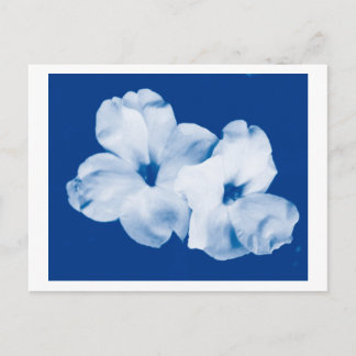 Blauw en wit briefkaart