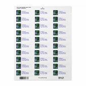 Blauw en Wit Columbine Bloem Mailing Label (Full Sheet)