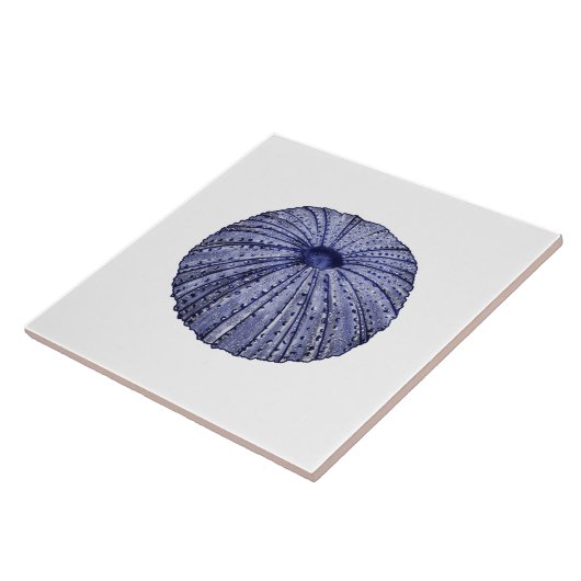 Blauw en wit zee urchin shell keramische tegel tegeltje (Zijkant)