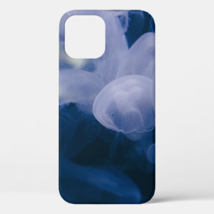 BLAUW EN WITTE JELLYFISH IN WATER iPhone 12 HOESJE