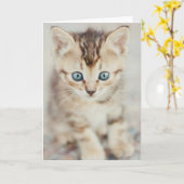 Blauw Eyed Kat Kaart (Gele Bloem)