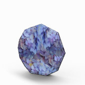 Blauw Fotoblokken (Rechts)