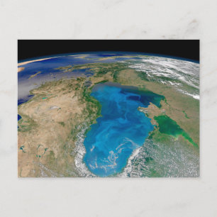 Blauw fytoplankton bloeit in het zwarte Zee Briefkaart