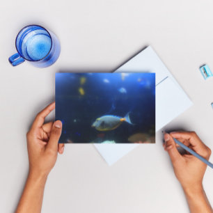 Blauw-geel tropische vis briefkaart