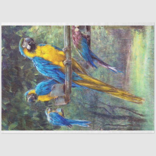 blauw-gele-macrowitpapier tissuepapier (Voorkant)