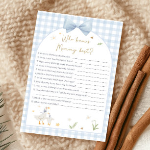 Blauw Gingham Dwaze Gans Shower Wie Weet Spel