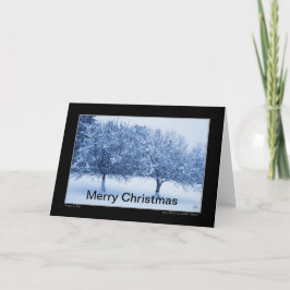 Blauw glas en winterappels Kerst Kaart