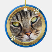 Blauw Gouden Cute Kat Foto Ornament (Achterkant)