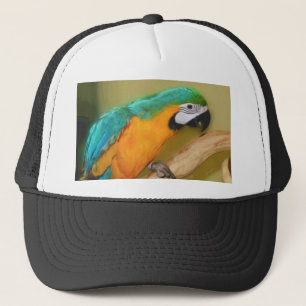 Blauw Gouden het Schilderen van de Papegaai van de Trucker Pet