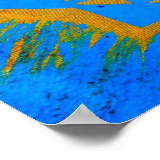 blauw goudtangetje poster (Hoek)