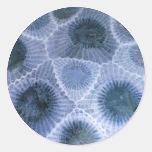 Blauw Grijs Petoskey Stone Stickers (Voorkant)