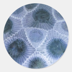 Blauw Grijs Petoskey Stone Stickers