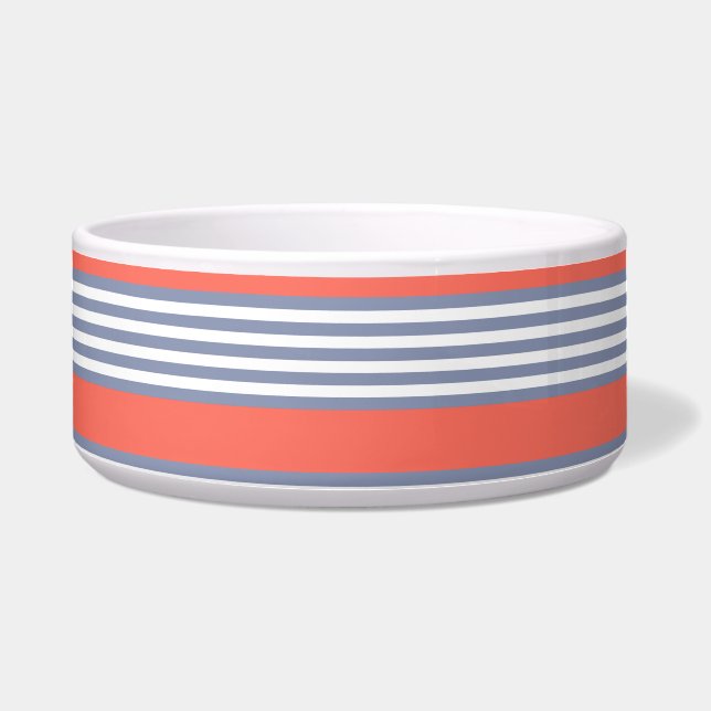 Blauw-grijs vijf stripe patronen met levend koraal voerbakje (Voorkant)