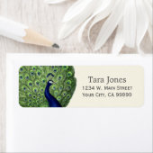  Blauw Groen  Peacock Adresetiketten Etiket (Insitu)