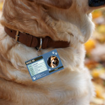 Blauw Groene Moderne Hond ID Tag: Eenvoudig en Sti