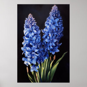 Blauw Hyacint Bloemenkunst Print Poster