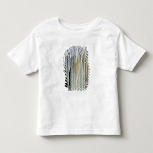 Blauw Ijs en Grondwater Afstroming; Tahquamenon Kinder Shirts