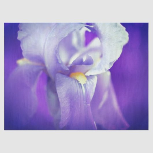 Blauw Iris cadeaupapier Tissuepapier (Voorkant)