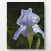  Blauw Iris Floral Raindrops EASEL Fotoplaat (Voorkant)