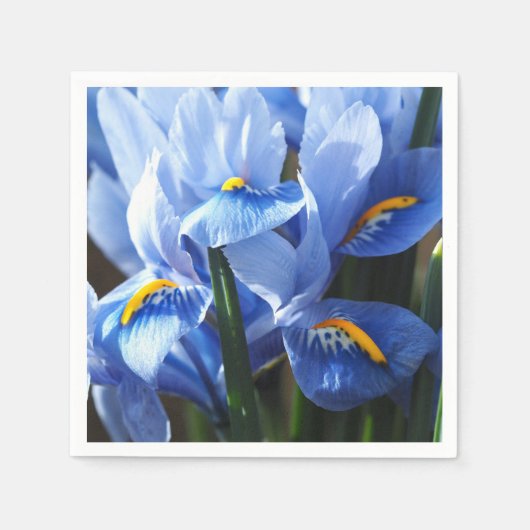  blauw irisservet servet (Voorkant)