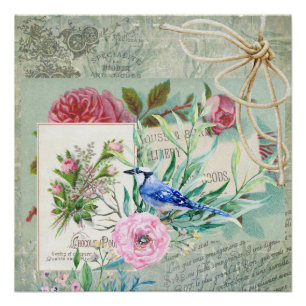 blauw Jay Bird Roze Rose Floral Collage Perfect Poster