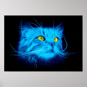 Blauw katje poster