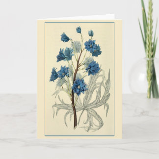 blauw-larkspurventiel kaart