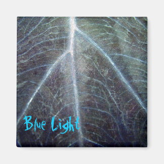 Blauw licht magneet