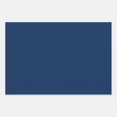 Blauw, Lichtblauw & Wit Petal Patroon Inpakpapier Vel (Voorkant 2)