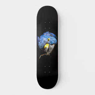 Blauw Macaw Skateboard