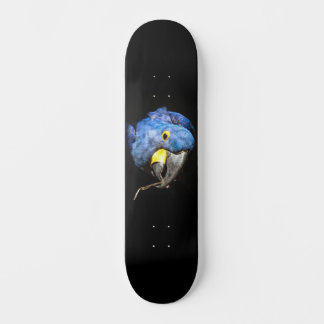 Blauw Macaw Skateboard