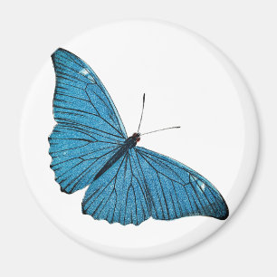 blauw-morfobutterfly-Gepersonaliseerd Sjabloon Magneet